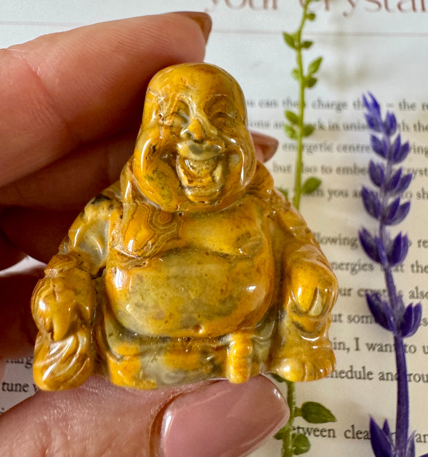 Crazy lace Agate Buddha