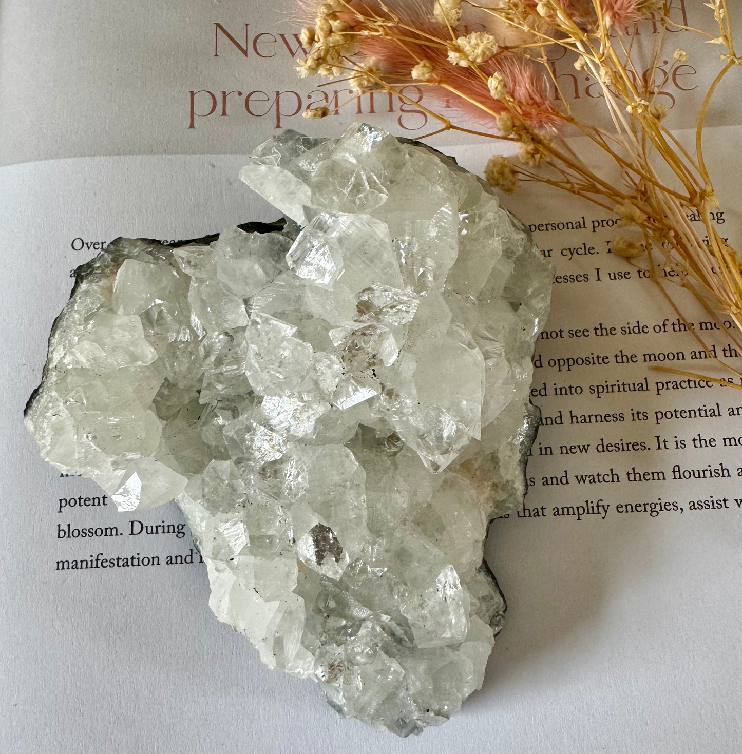 Apophyllite Cluster 2