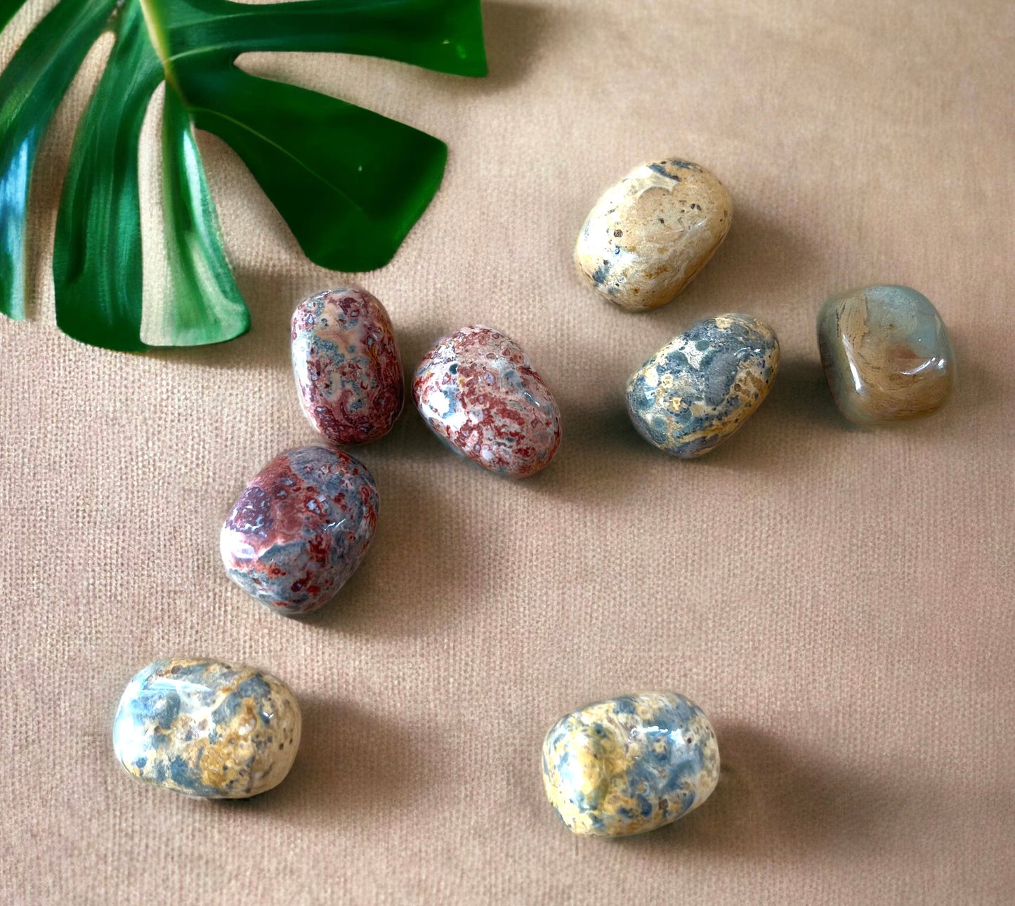 Leopard Skin Jasper Tumblestone