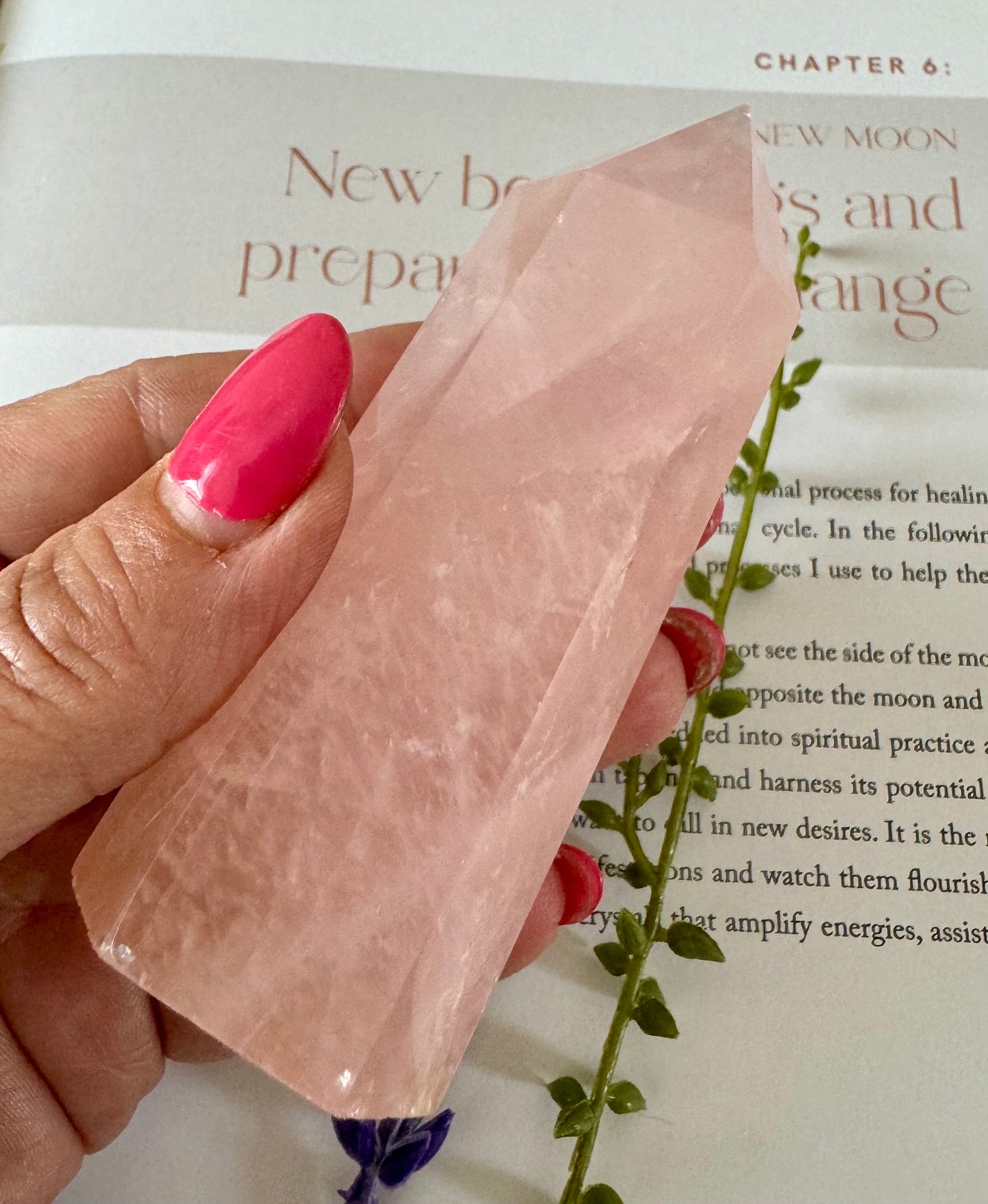 Rose Quartz Point 6