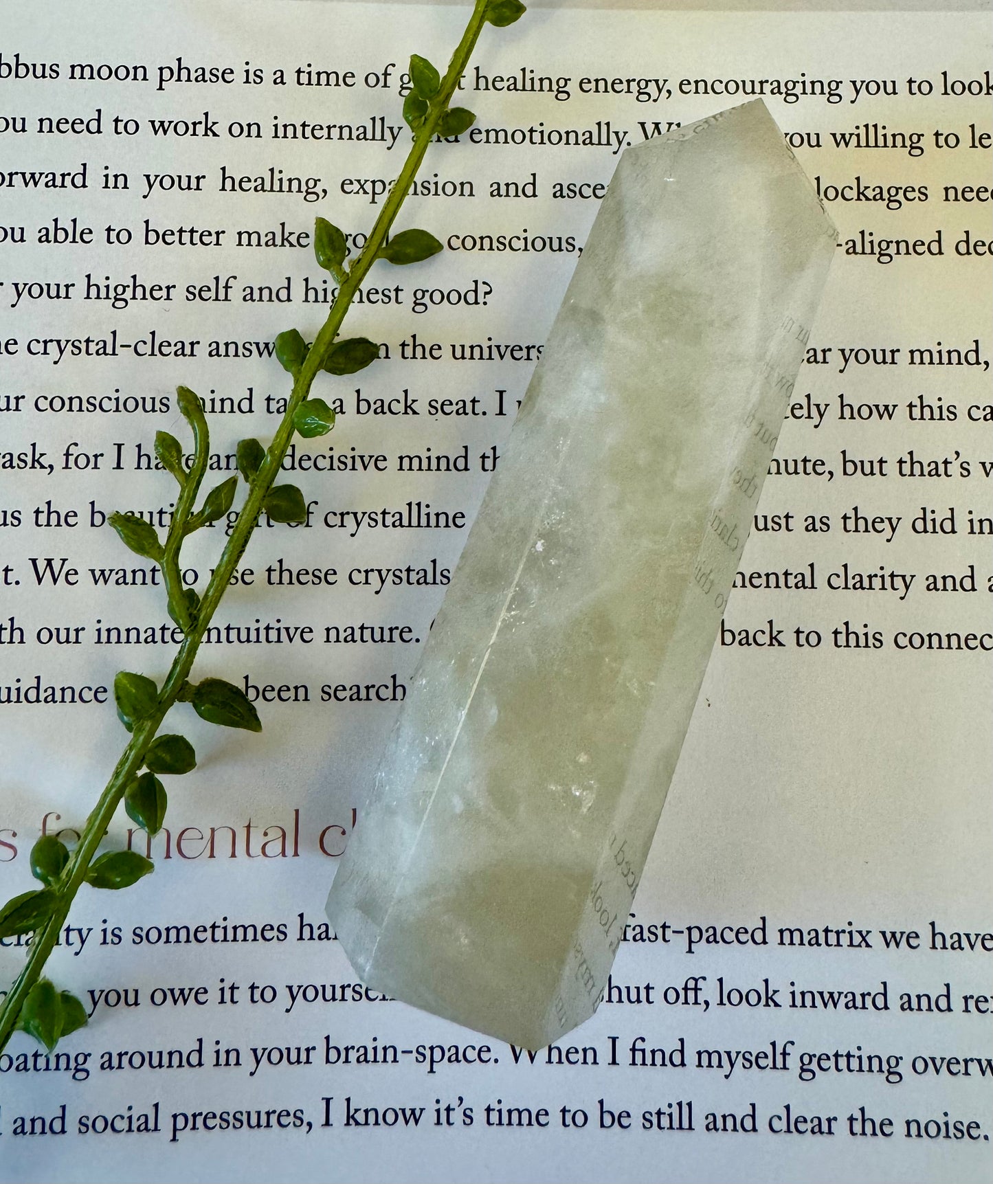 Lemon Quartz Point 4