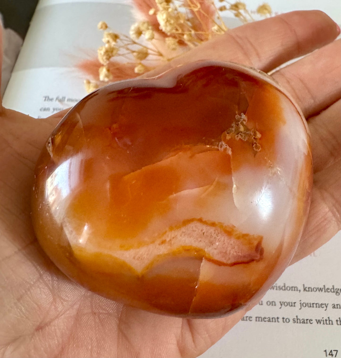 Carnelian Heart 2