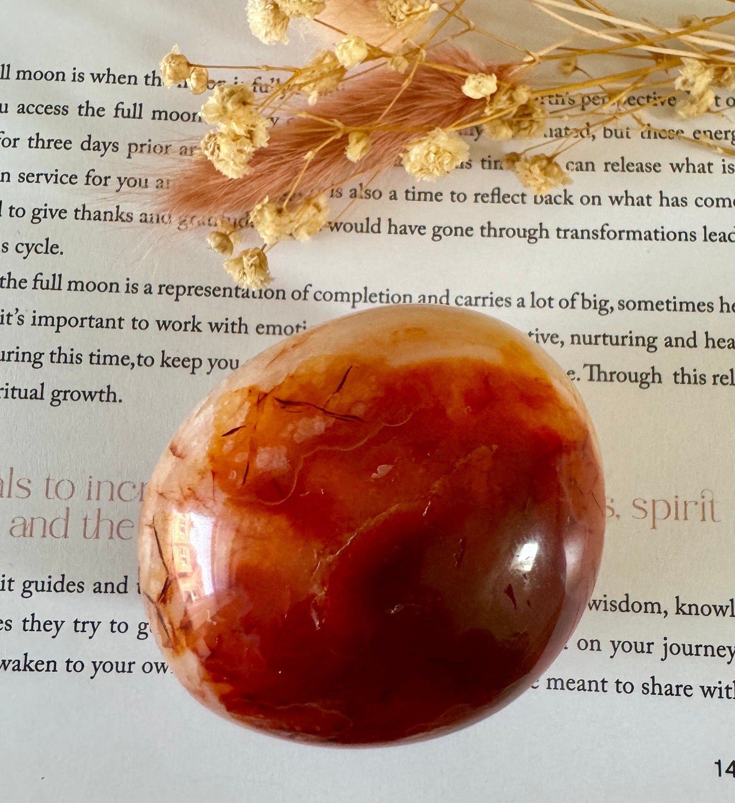 Carnelian Palmstone 4