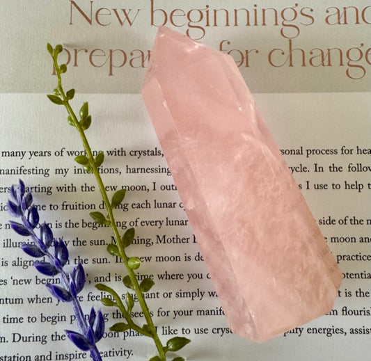 Rose Quartz Point 6