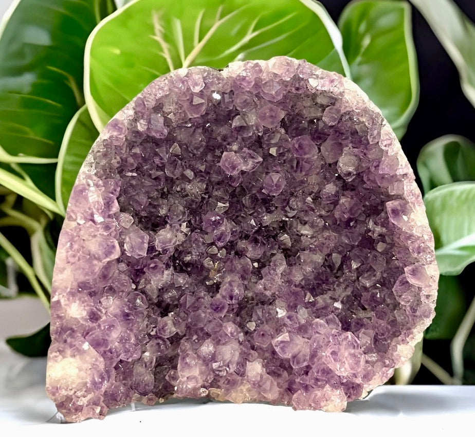 Amethyst Freeform Clusters