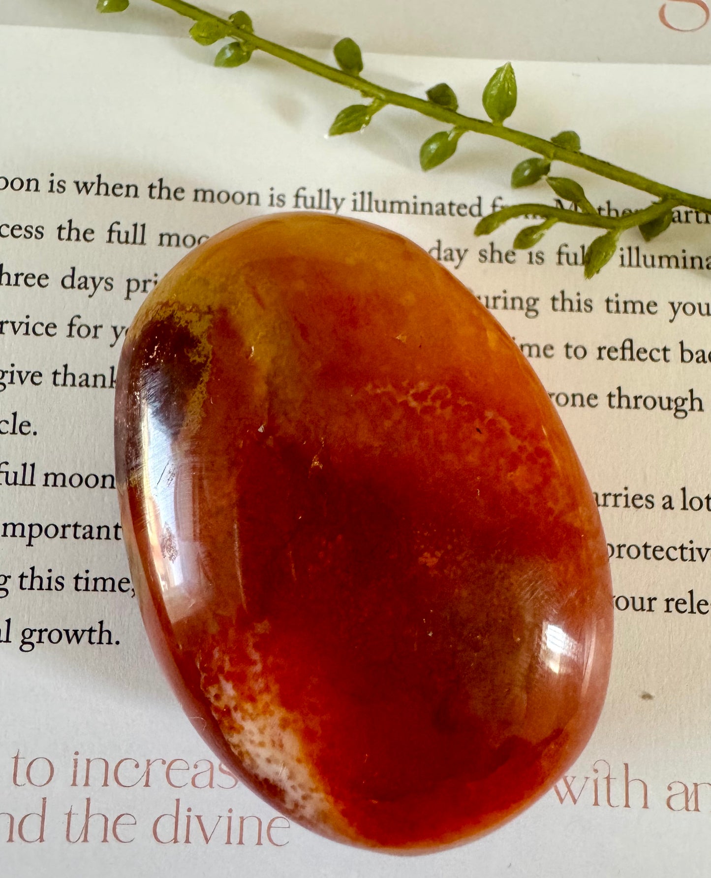 Carnelian Palmstone 6