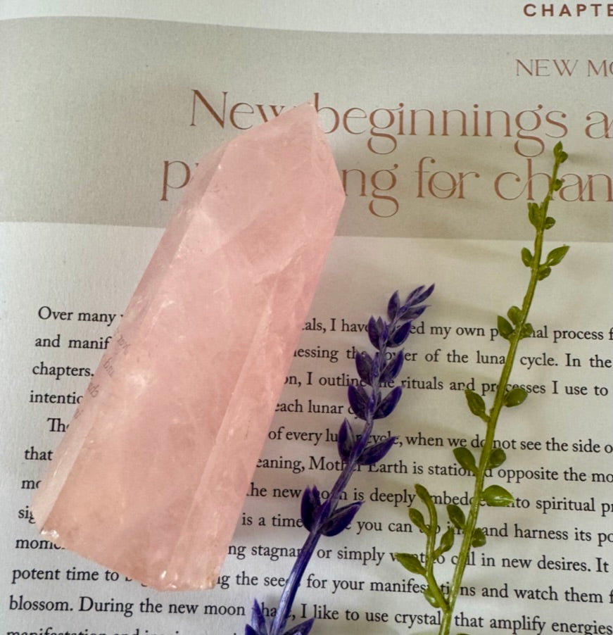 Rose Quartz Point 6