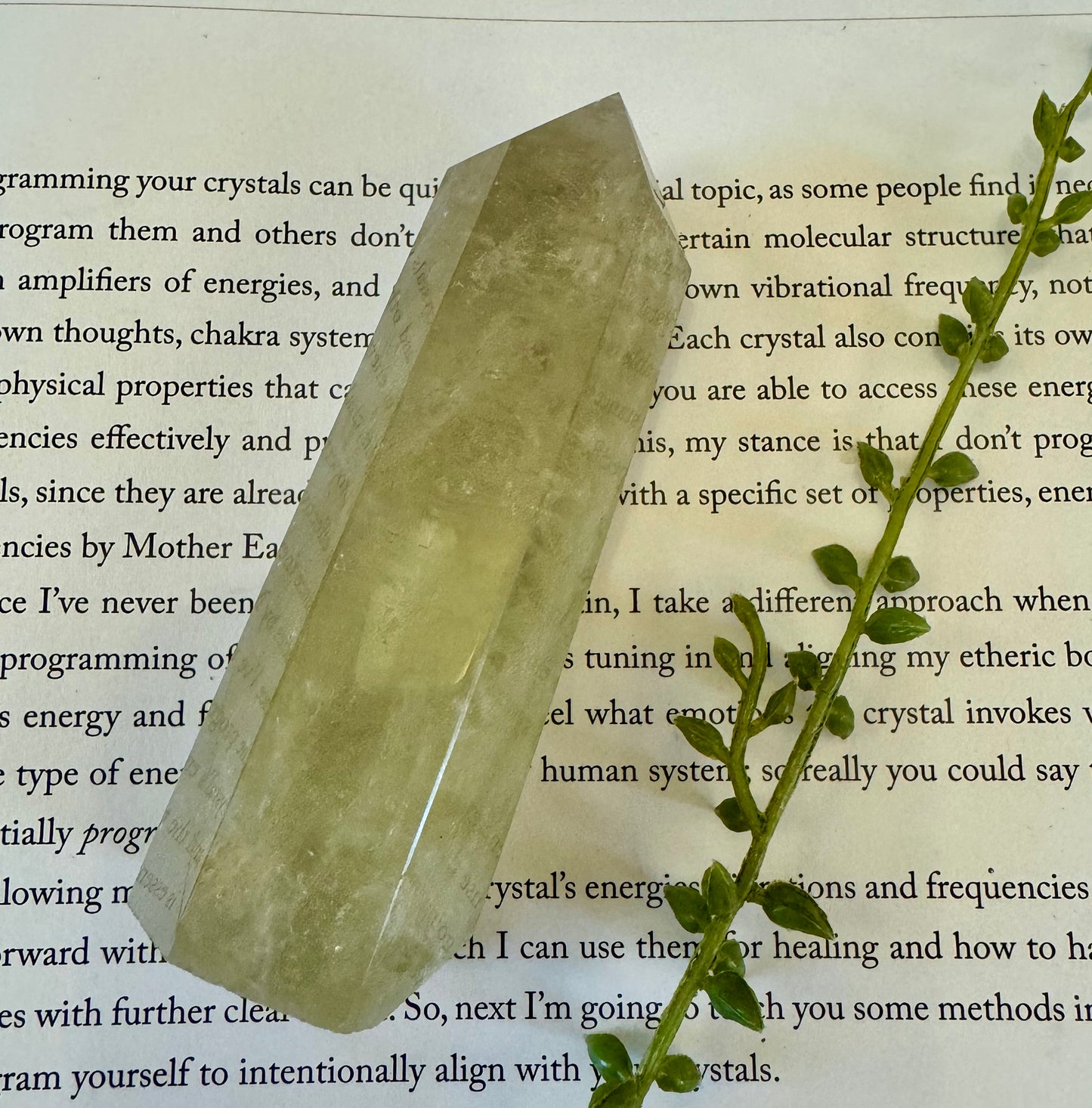 Lemon Quartz Point 1