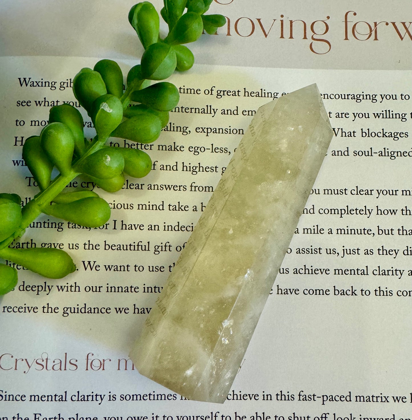 Lemon Quartz Point 5