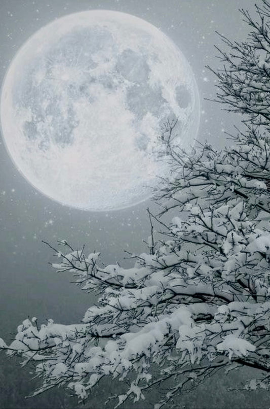 Full Moon Meditation