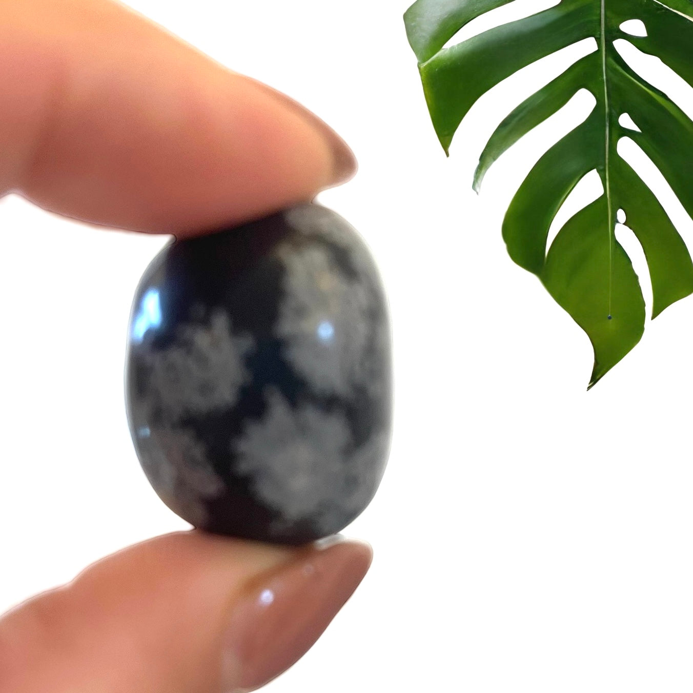 Snowflake Obsidian Tumblestones