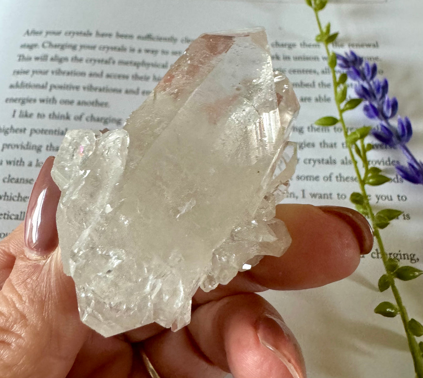 Clear Quartz Cluster 5