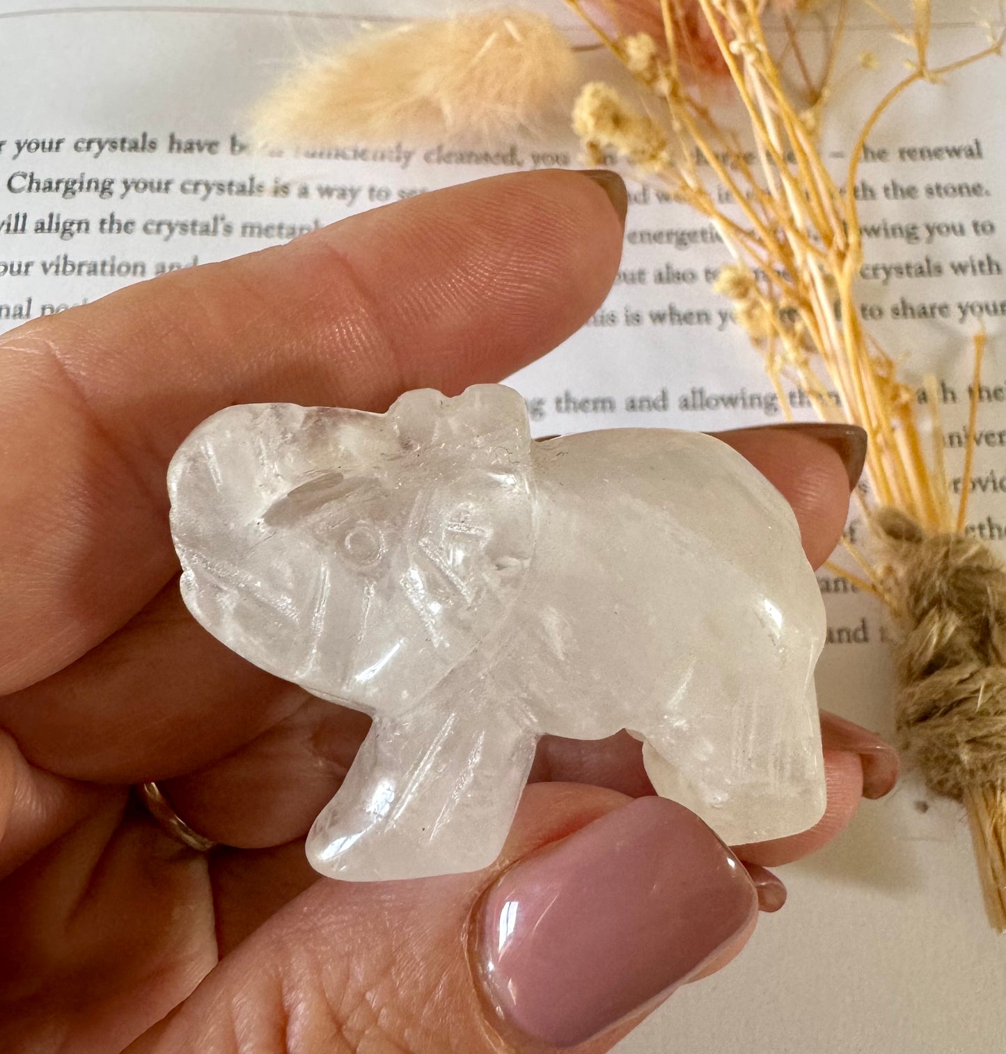 Clear Quartz Elephant