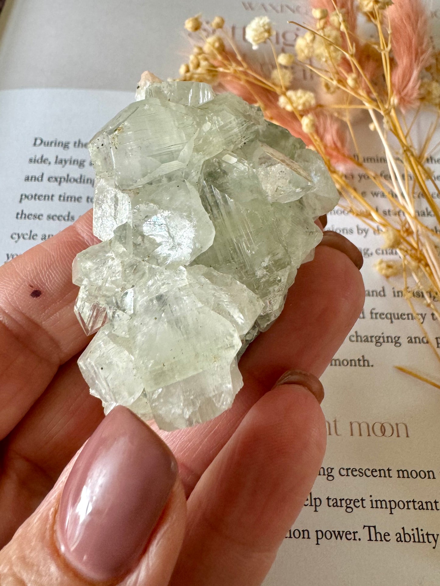 Apophyllite Cluster 4