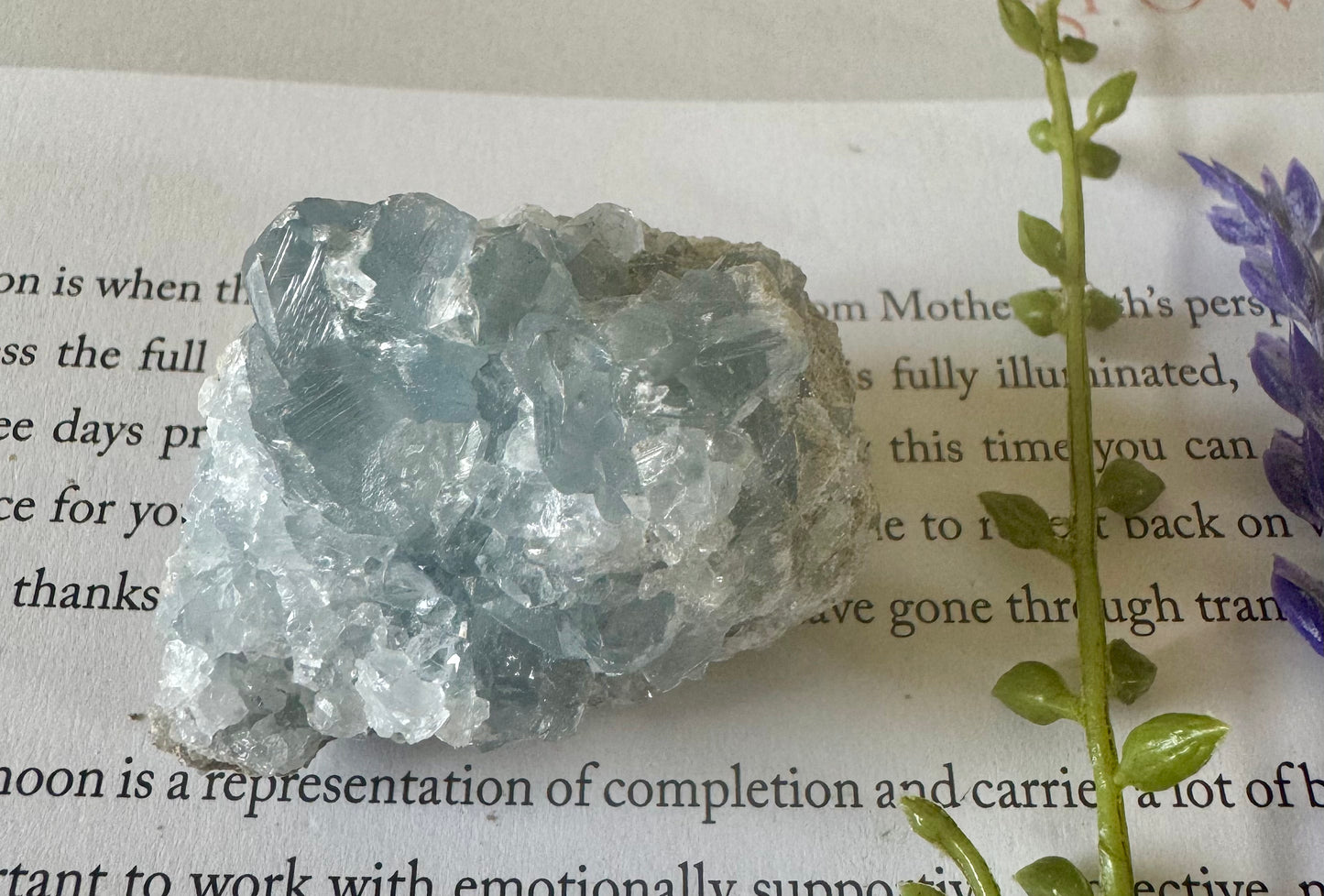 Rough Celestite