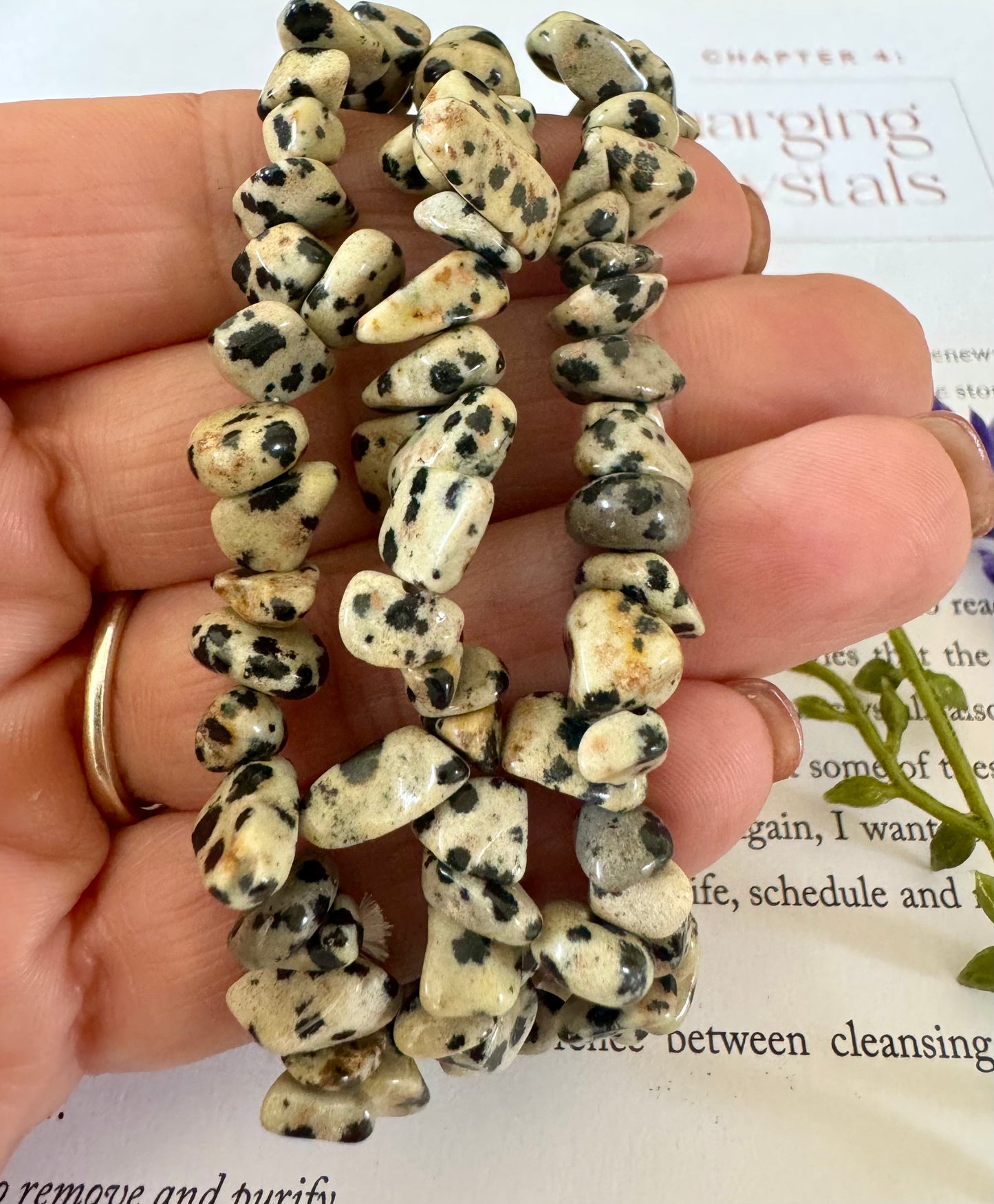 Dalmation Jasper Chip Bracelet