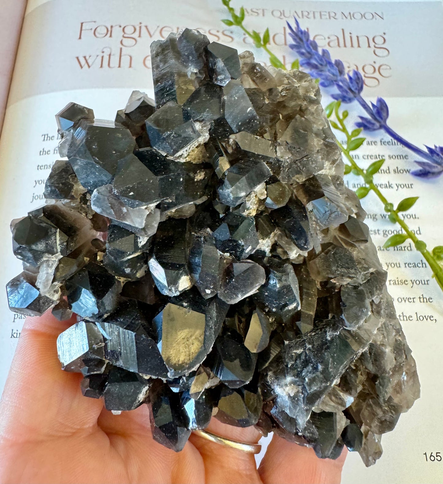 Smokey Quartz Cluster 2