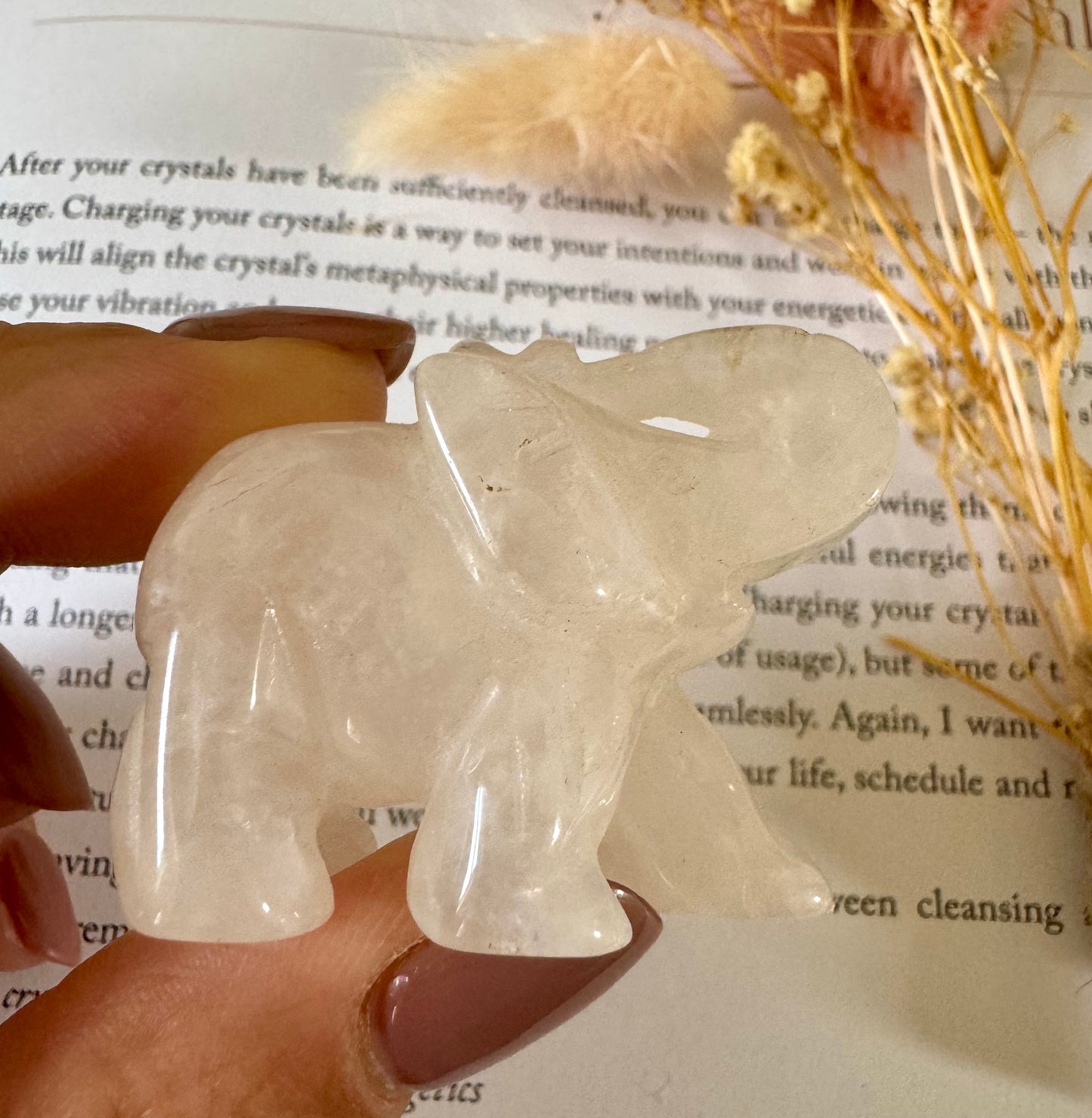 Clear Quartz Elephant