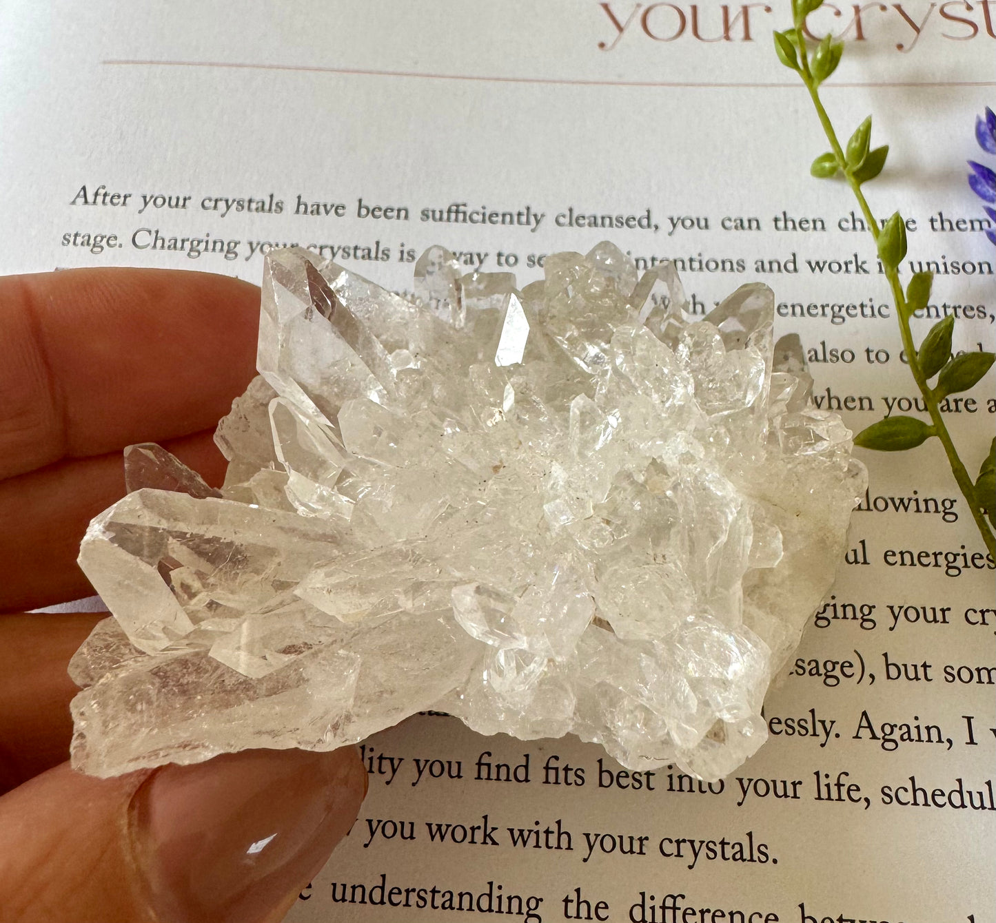 Clear Quartz Cluster 3