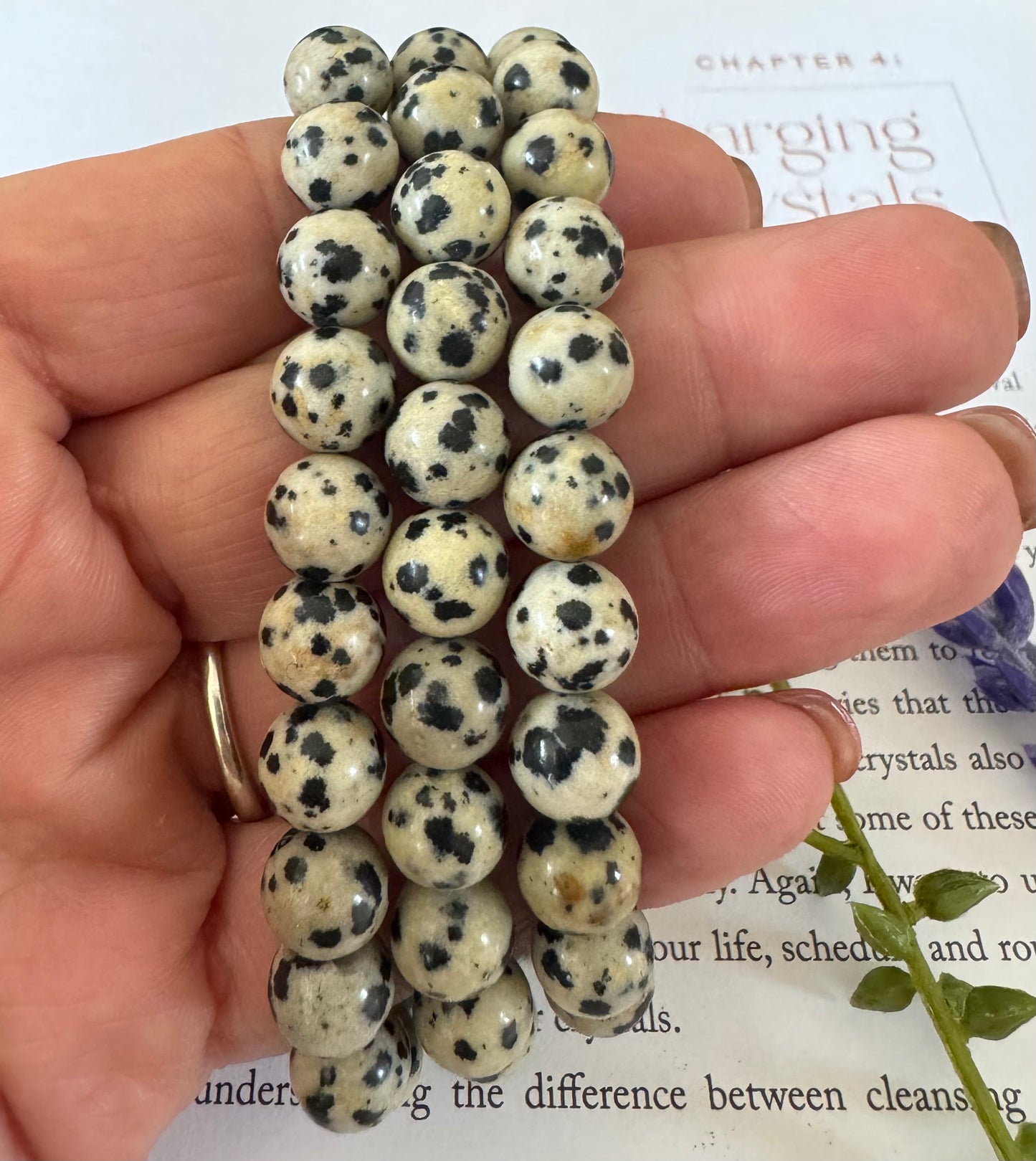 Dalmation Jasper Beaded Bracelet