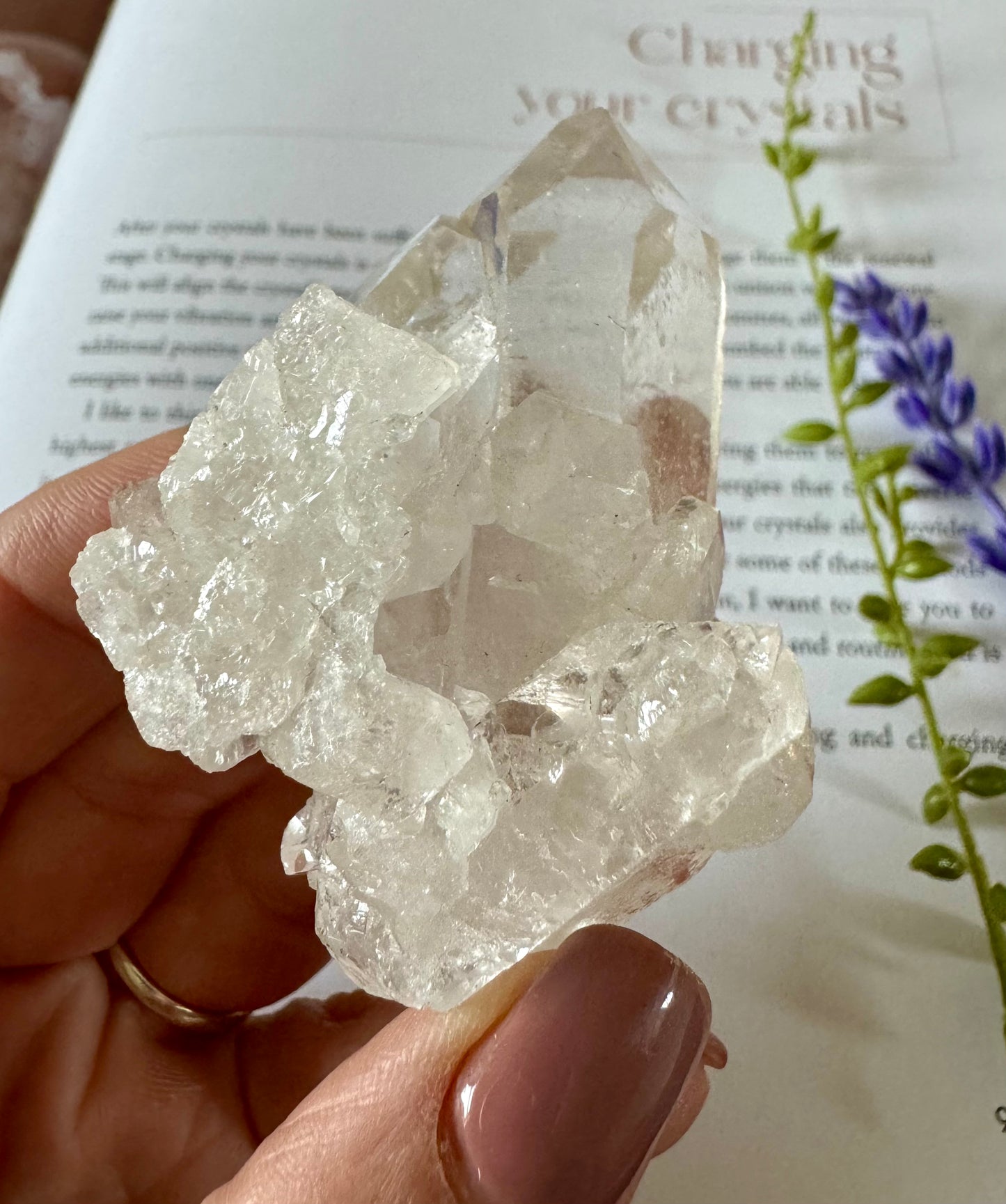 Clear Quartz Cluster 5