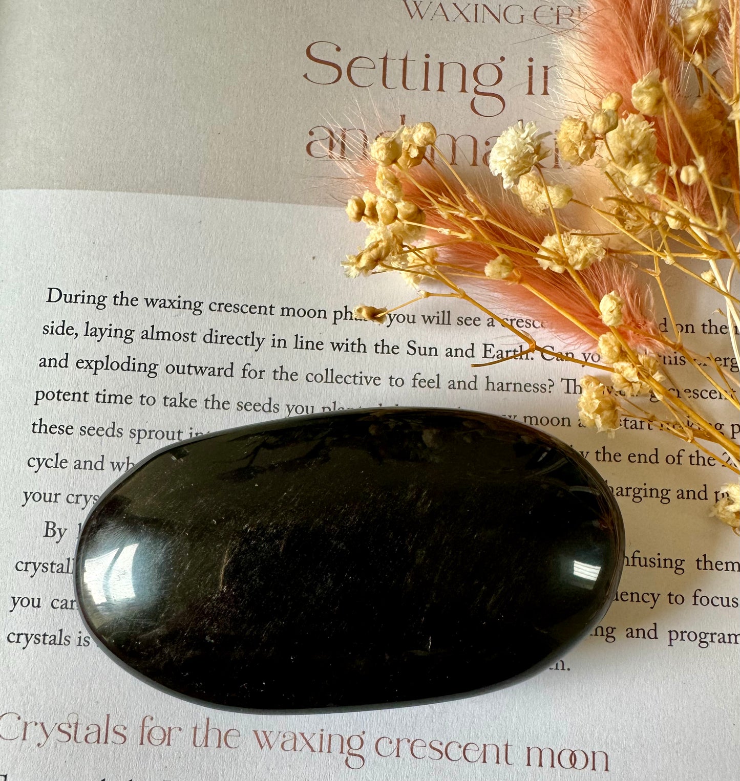 Black Obsidian Palmstone