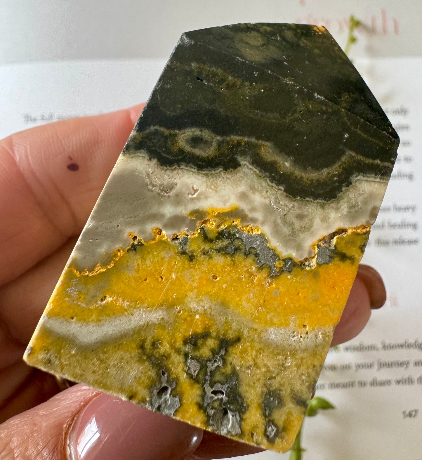 Bumblebee Jasper Point 3