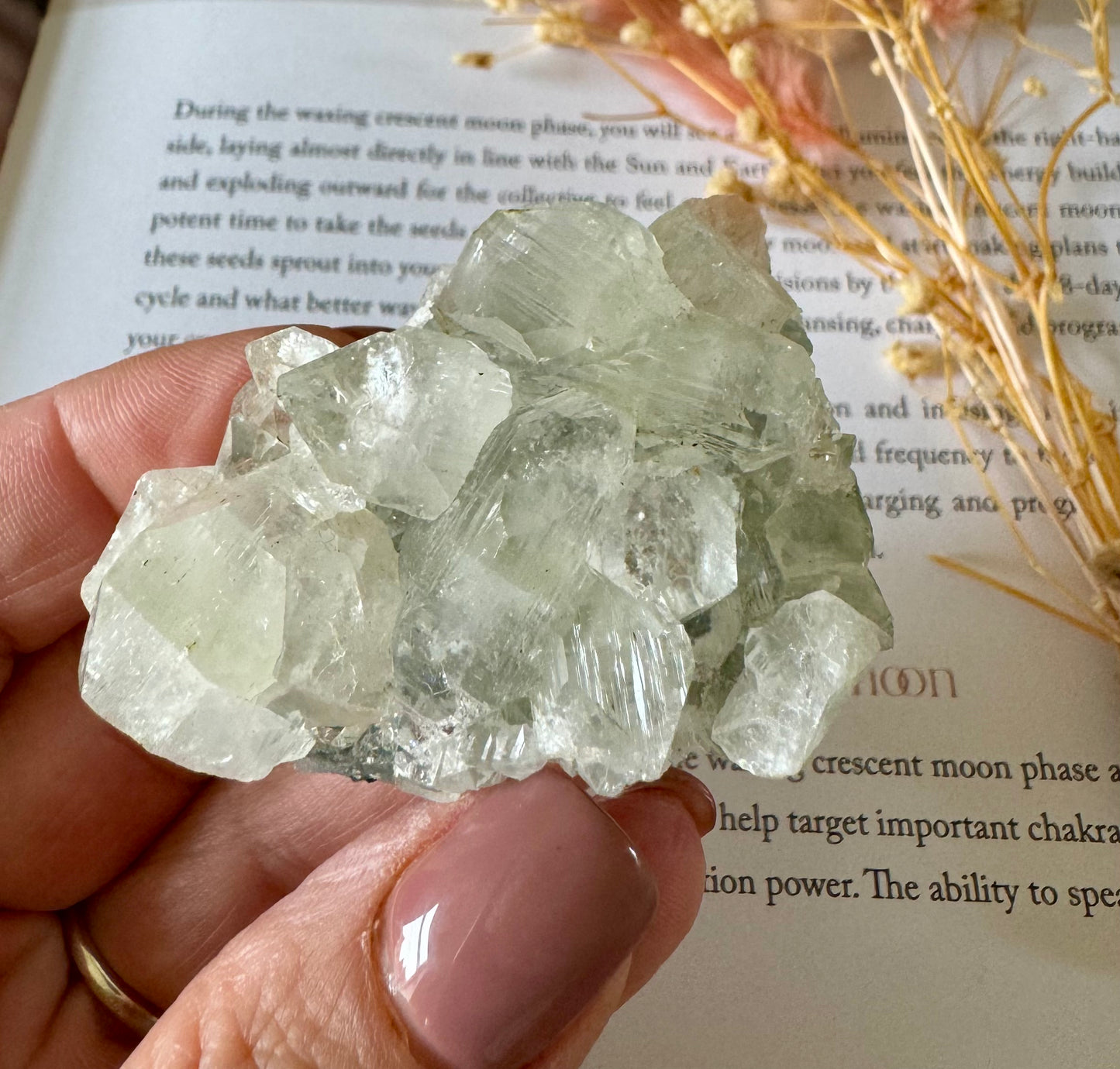 Apophyllite Cluster 4