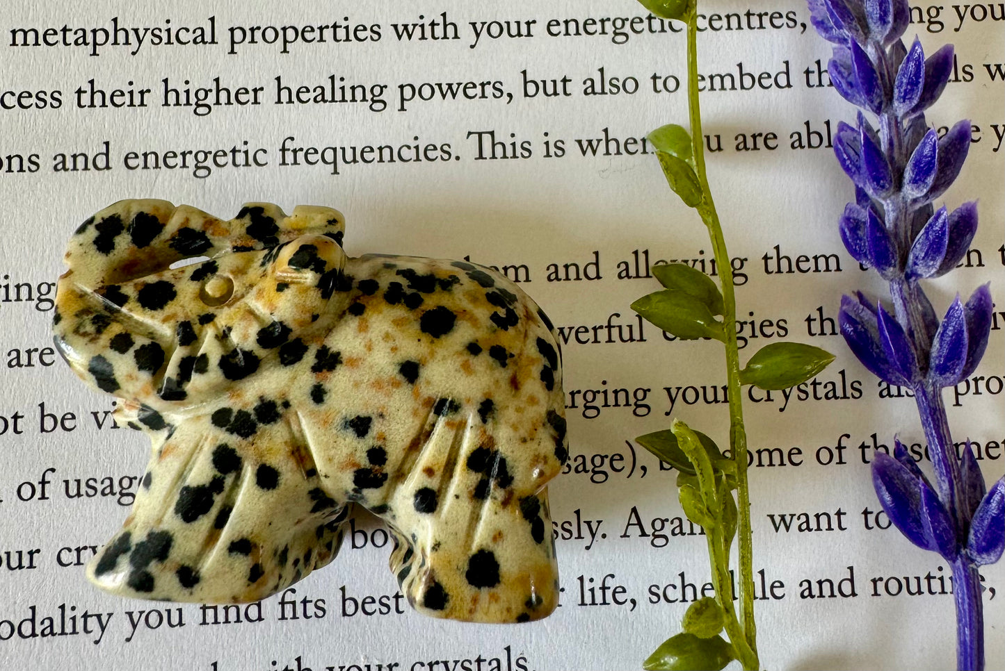 Dalmatian Jasper Elephant