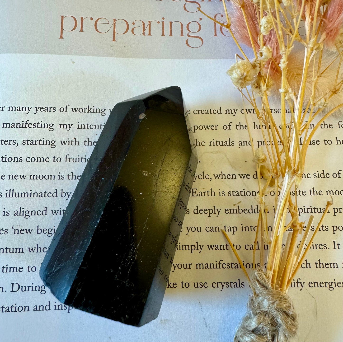 Black Tourmaline Point 3