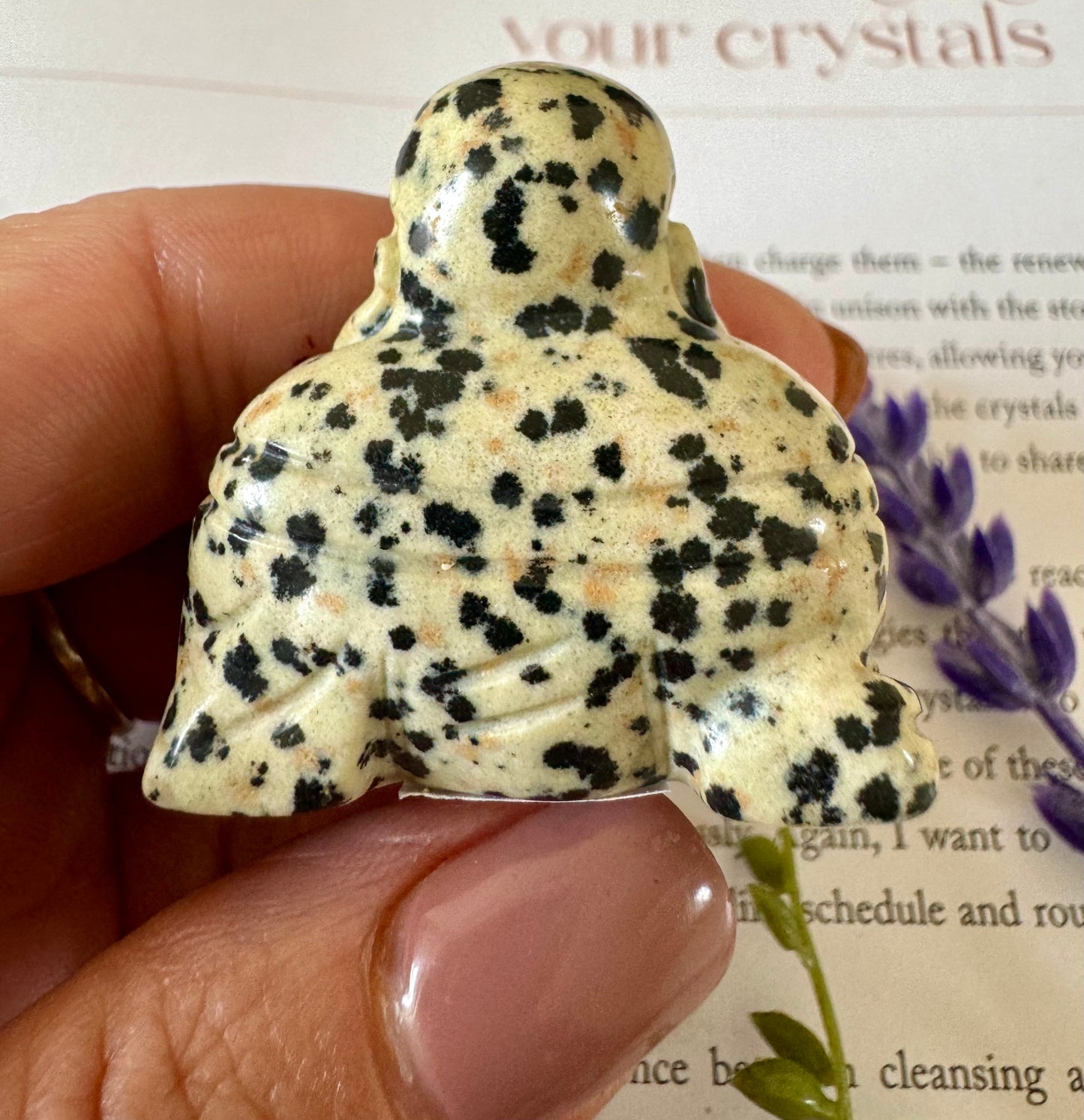 Dalmatian Jasper Buddha