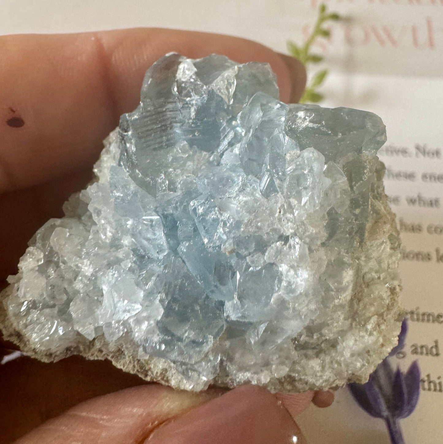 Rough Celestite