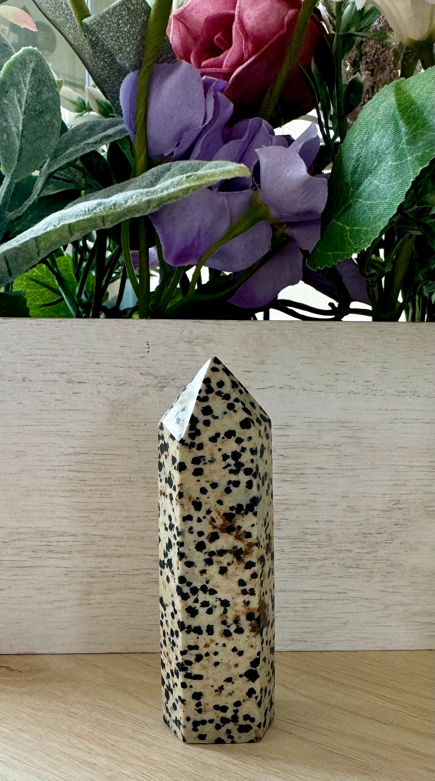 Dalmatian Jasper Point 1