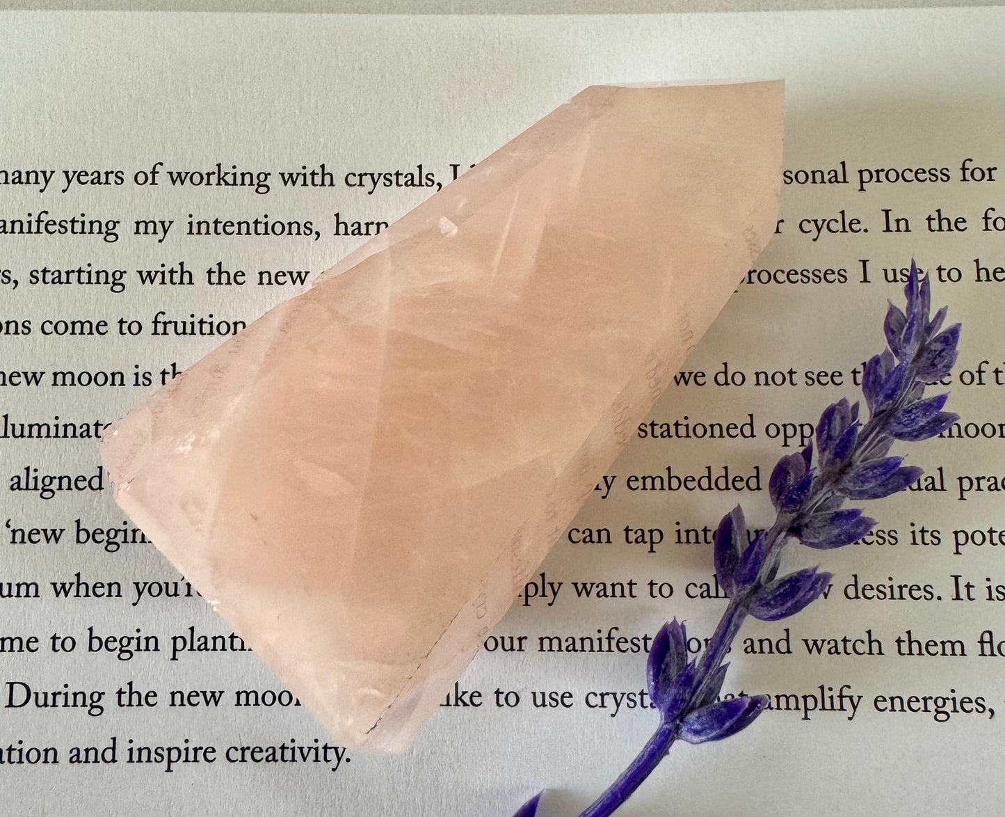 Rose Quartz Point 7