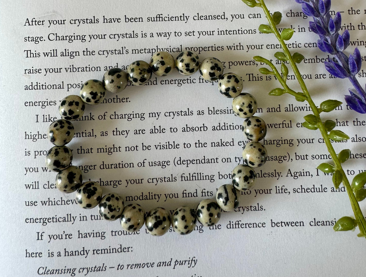 Dalmation Jasper Beaded Bracelet