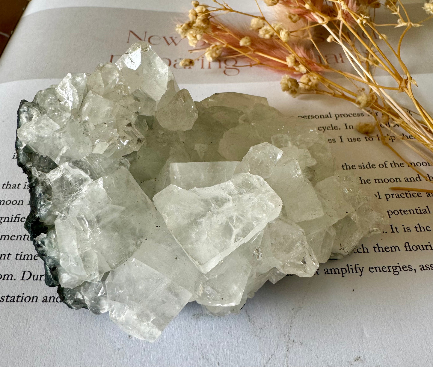 Apophyllite Cluster 3