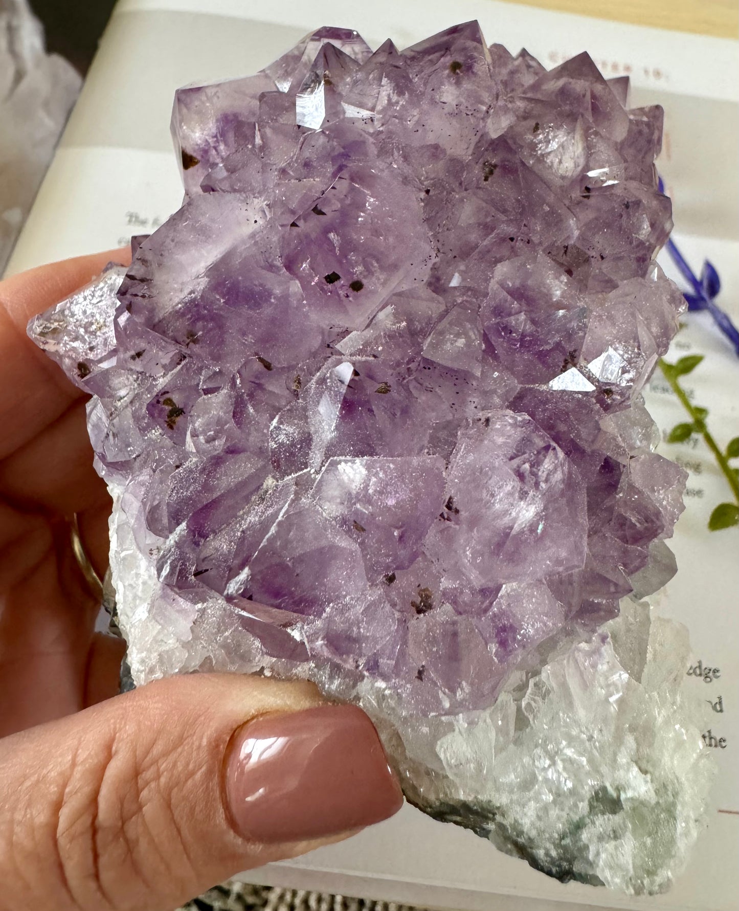 Amethyst Cluster 1