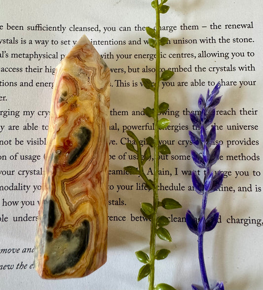 Crazy lace Agate Point 4