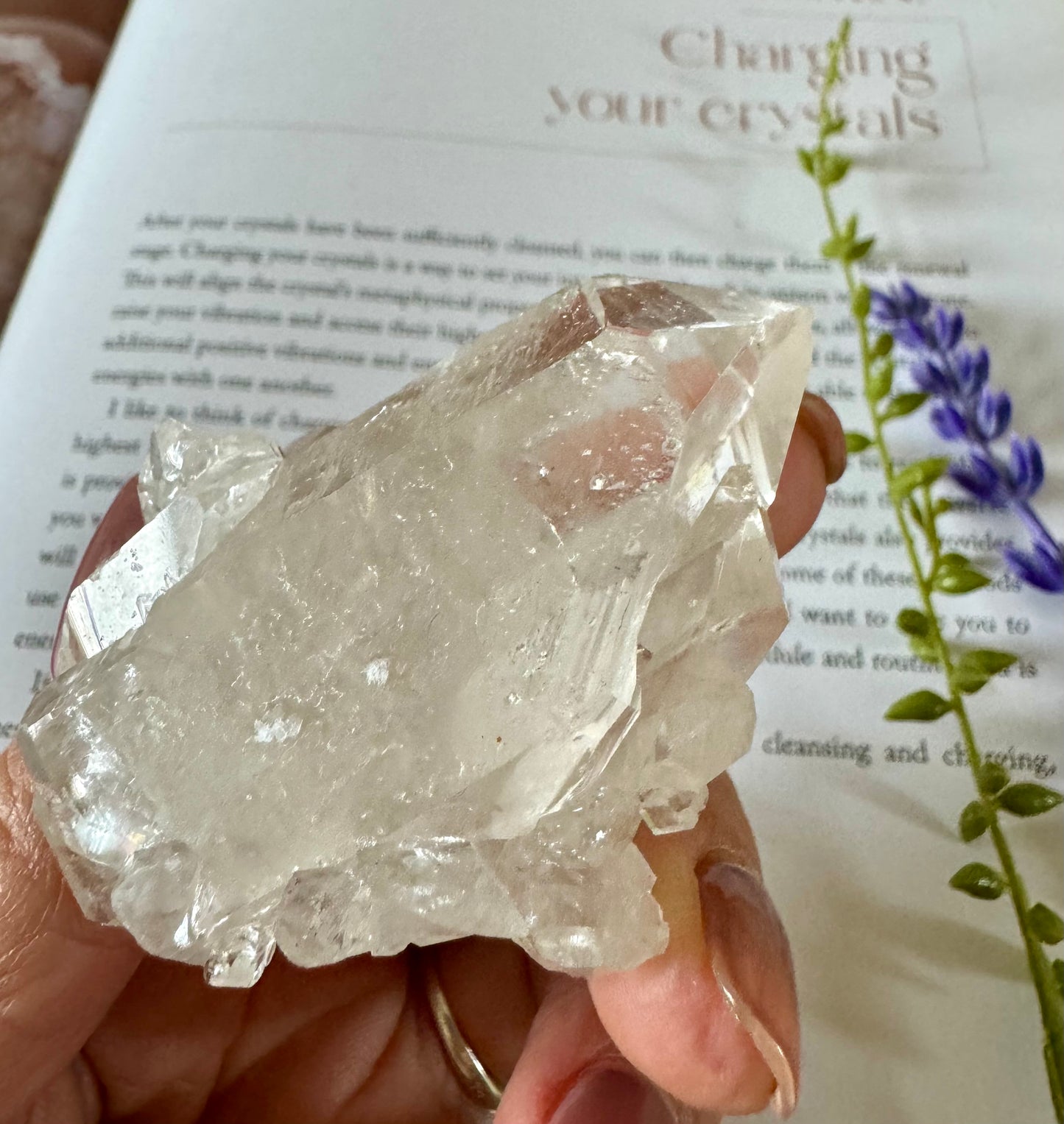 Clear Quartz Cluster 5