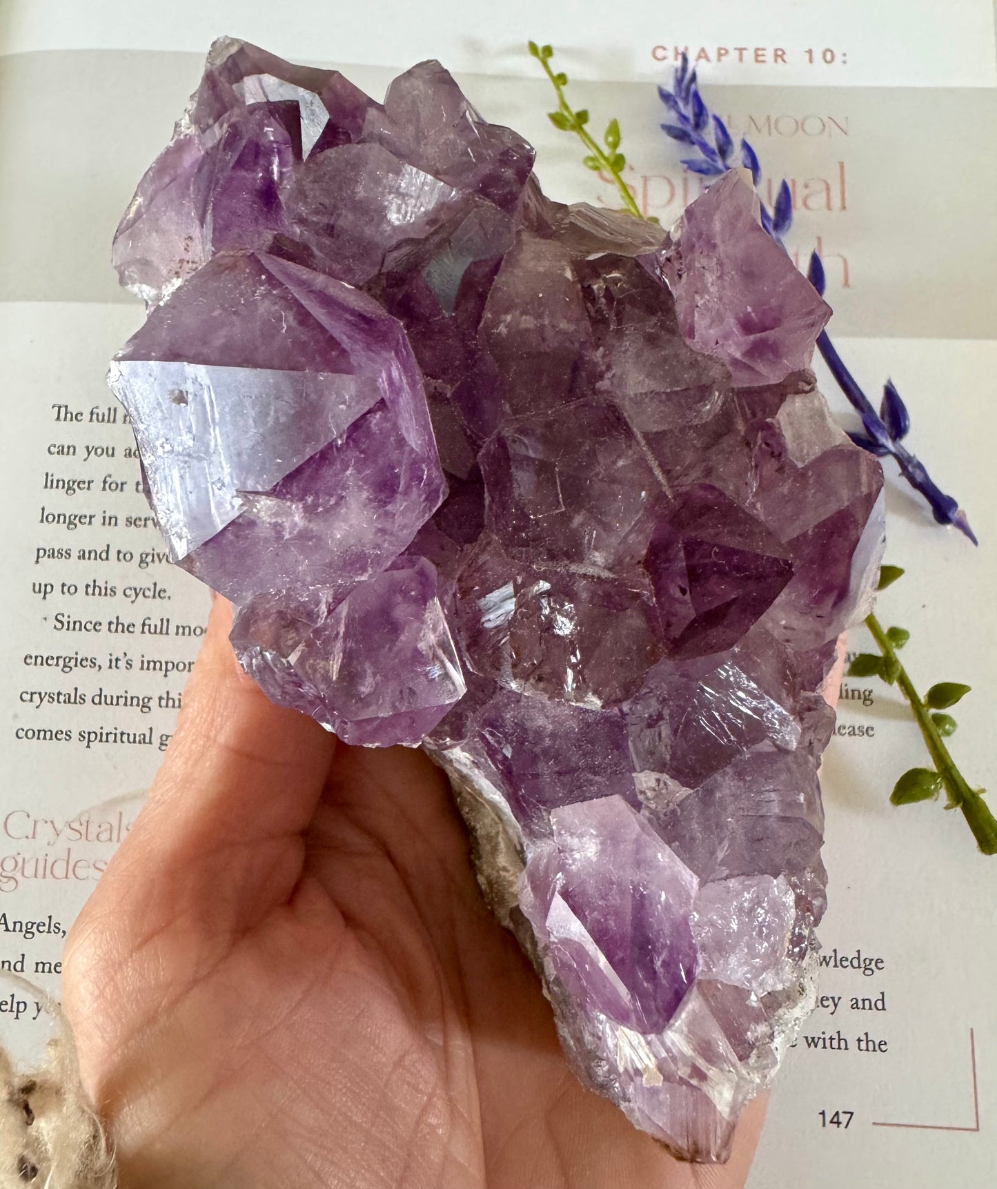 Amethyst Cluster 2