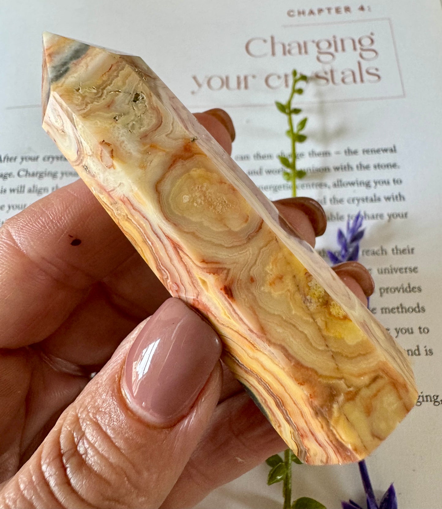 Crazy lace Agate Point 4