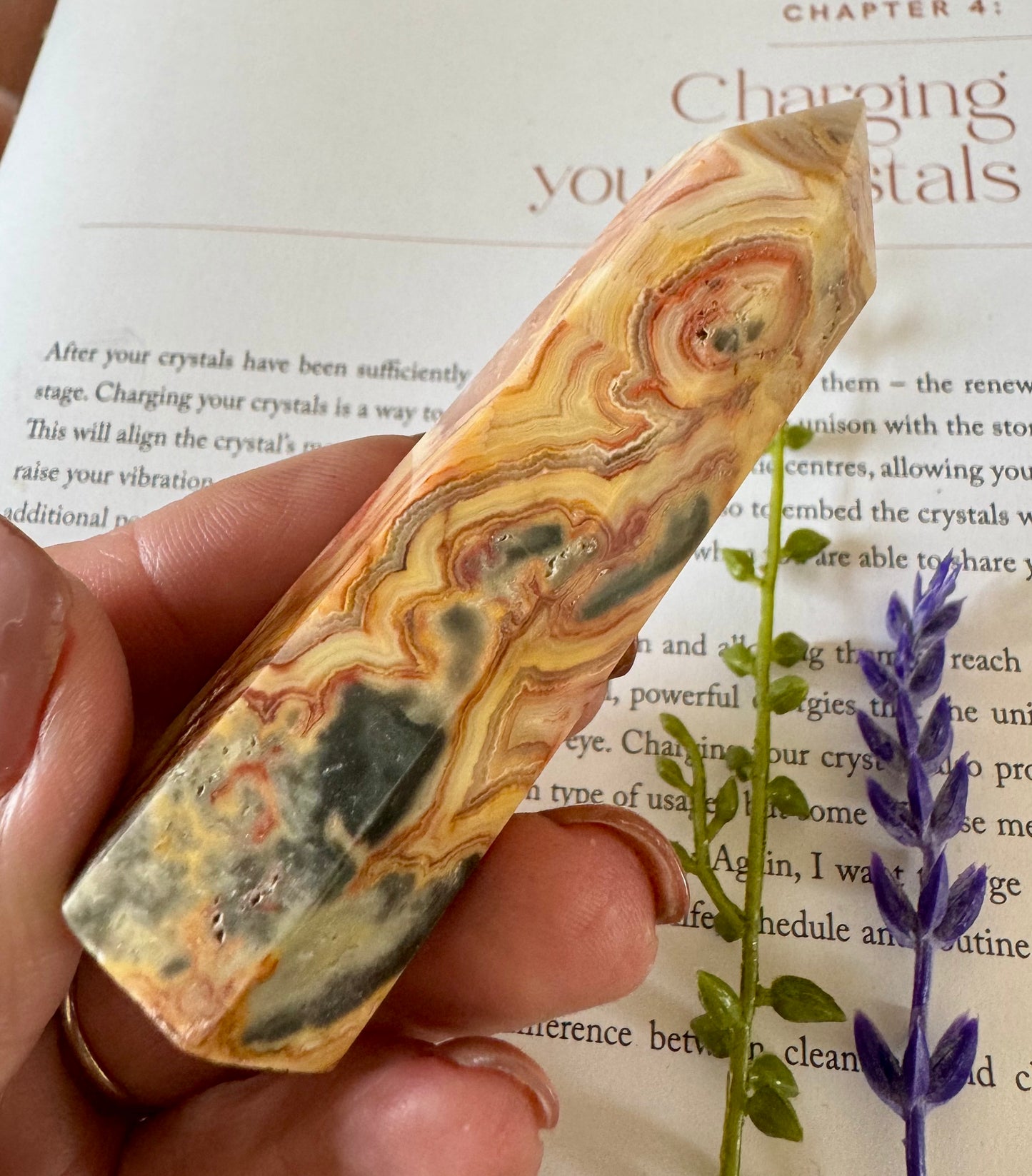 Crazy lace Agate Point 4