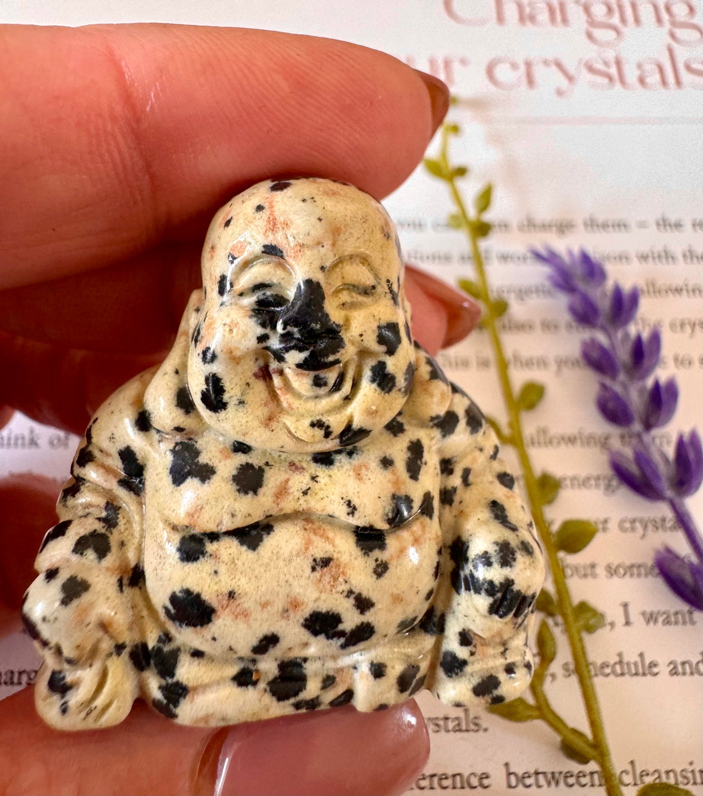 Dalmatian Jasper Buddha