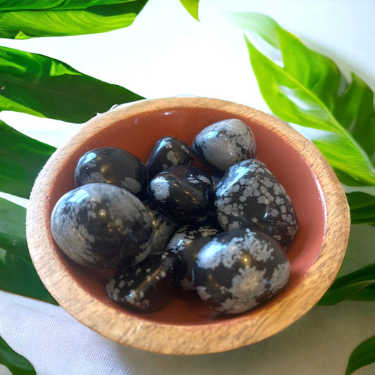 Snowflake Obsidian Tumblestones