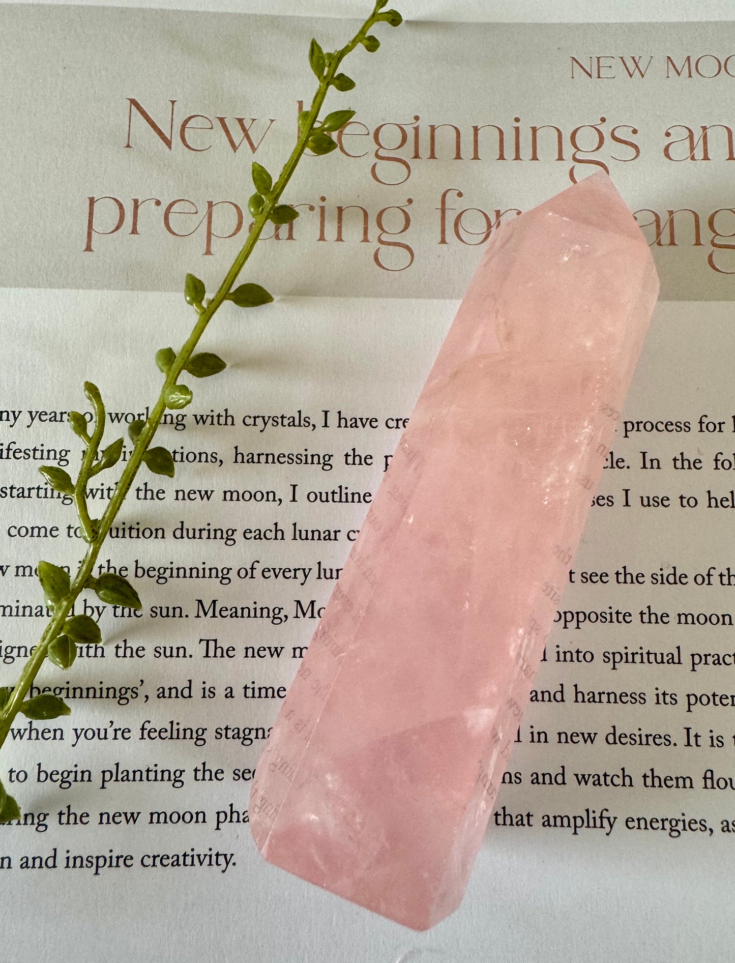 Rose Quartz Point 5