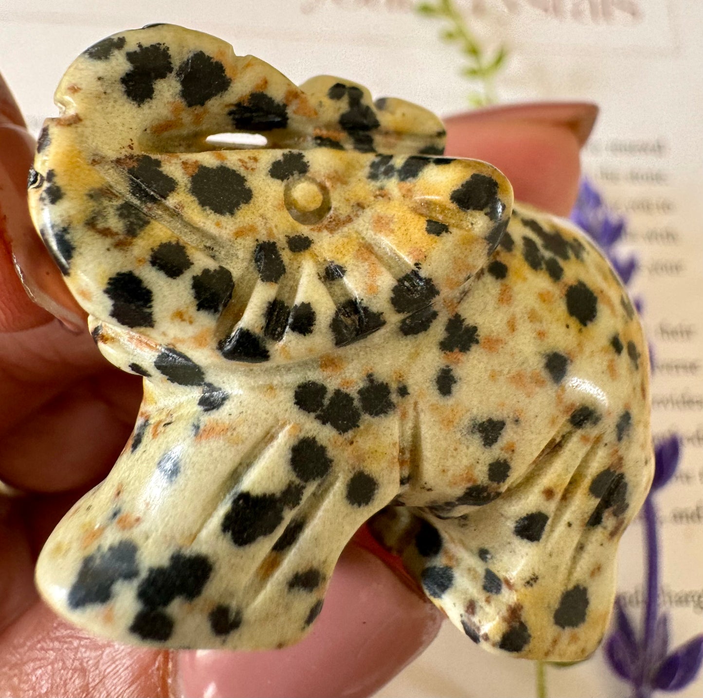 Dalmatian Jasper Elephant