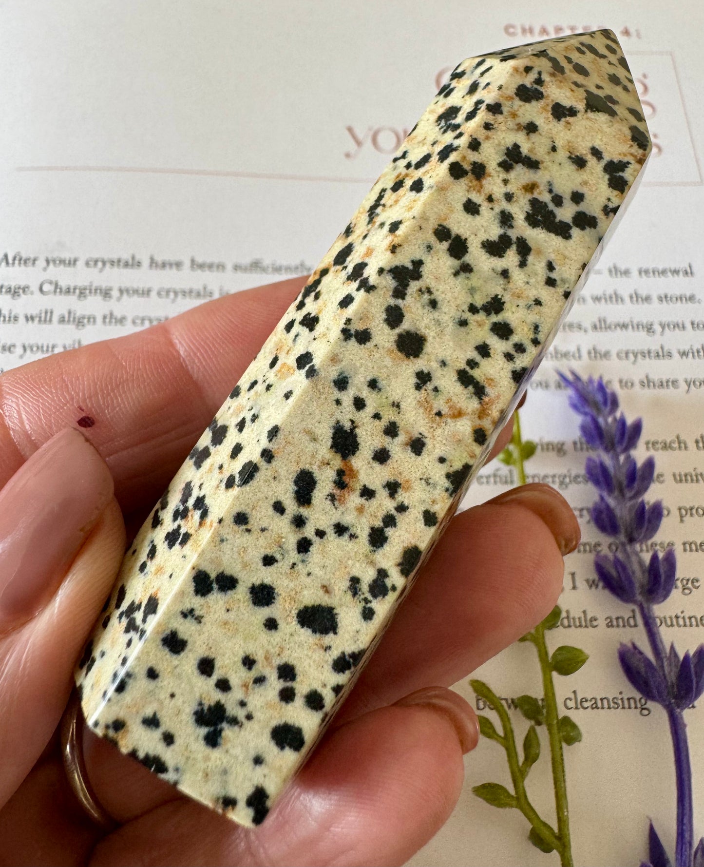 Dalmatian Jasper Point 1