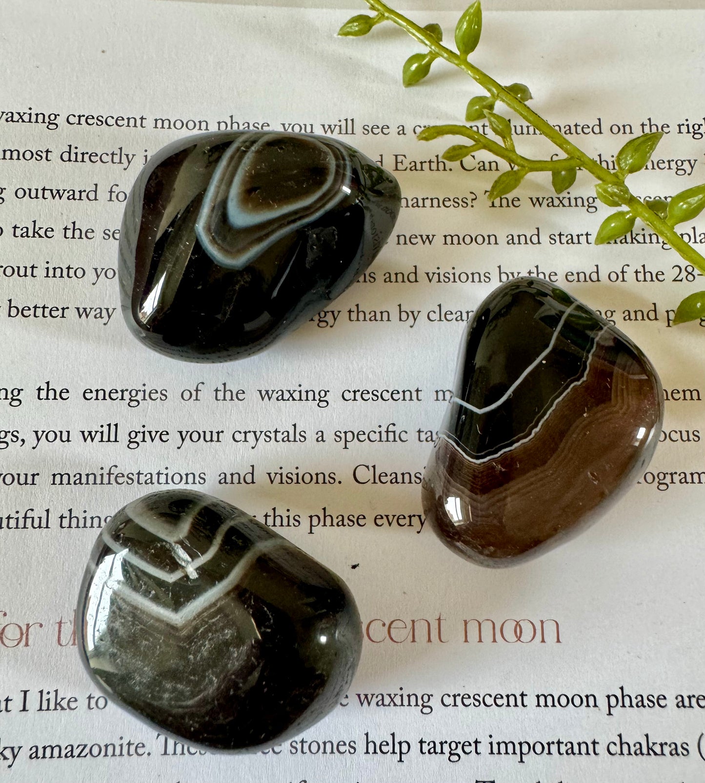 Black Agate Tumblestone