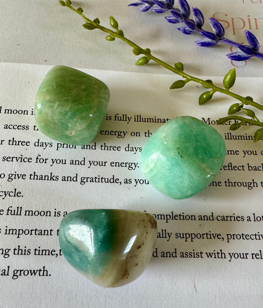 Amazonite Tumblestone