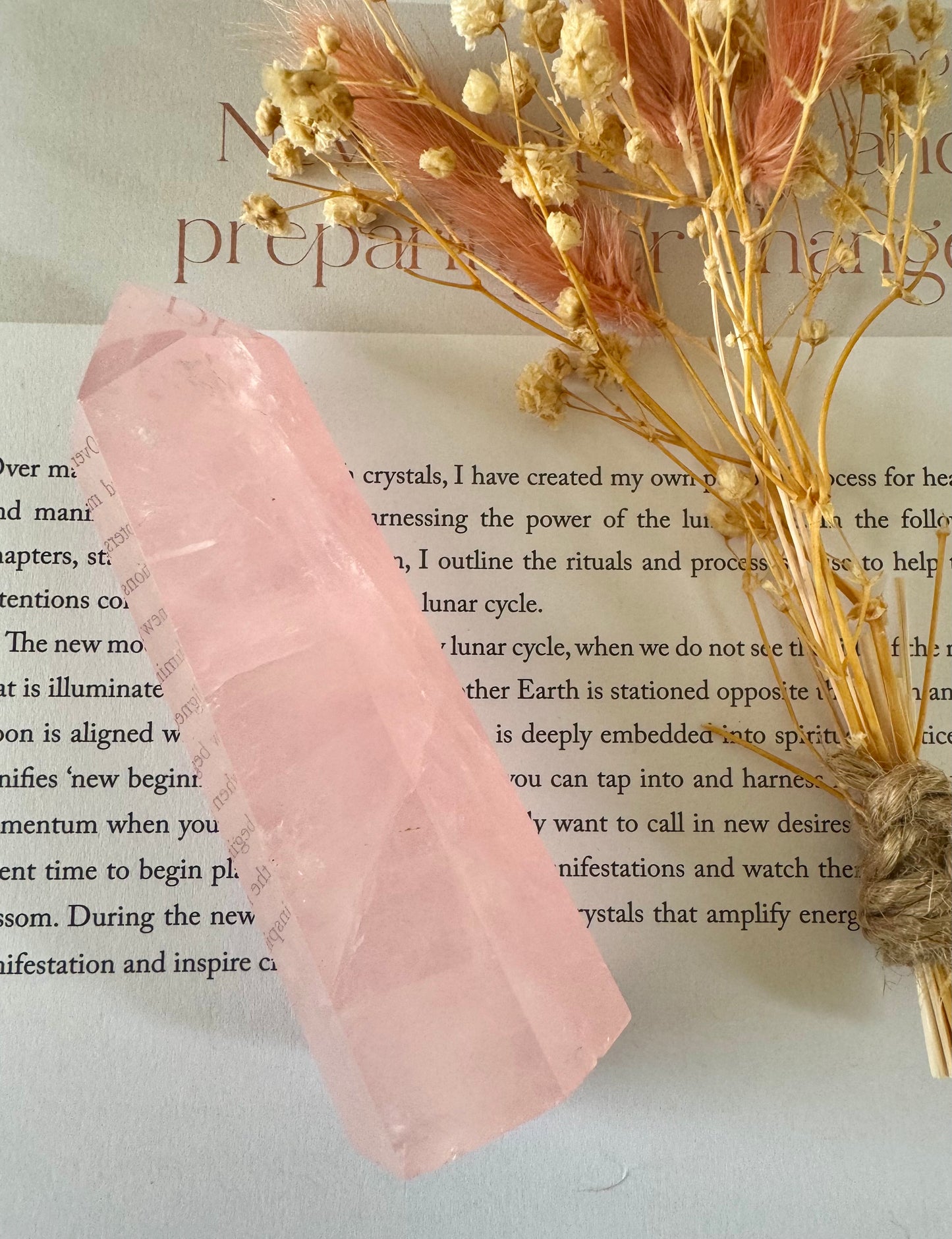 Rose Quartz Point 3